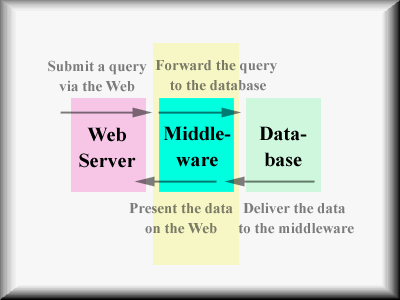 Figure 4  Workflow of a middleware. This figure is a diagram of the workflow of a middleware.