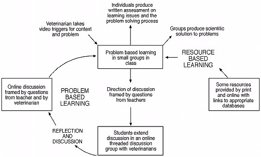 Figure 1: Model for online PBL to incorporate a global perspective