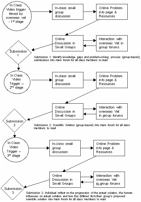 Figure 2: Flow chart of the problem-solving interaction
