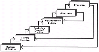 Steps in a training cycle